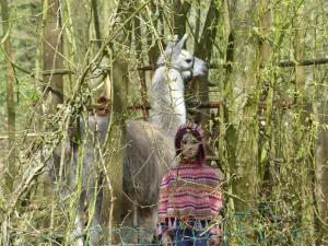 Foto dalla galleria di ici et la a Canaples