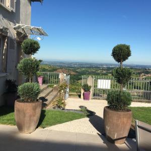 une maison avec trois grands pots plantés d'arbres dans l'établissement Les Chambres d'Hôtes d'Alice Dior, à Blacé