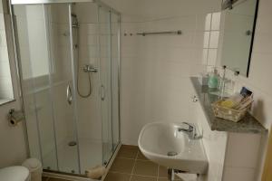 W łazience znajduje się umywalka i przeszklony prysznic. w obiekcie Seehotel Bad Kleinen w mieście Bad Kleinen