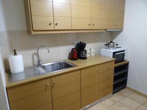 Кухня или мини-кухня в Syntagma-Ermou Apartment
