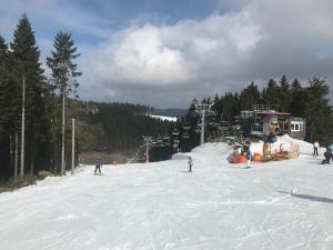 eine Gruppe von Personen, die auf einer schneebedeckten Piste Ski fahren in der Unterkunft Ferienwohnung "Am Rothaarsteig" in Winterberg