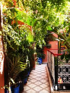 einen Garten mit Topfpflanzen auf einem Gehweg in der Unterkunft Riad Espagne in Marrakesch