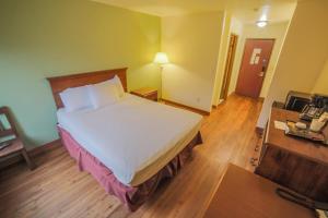 Postel nebo postele na pokoji v ubytování Sunnyside Inn and Suites