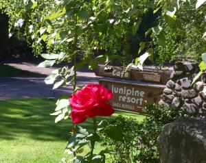una rosa rossa davanti a un cartello stradale di Junipine Resort a Sedona