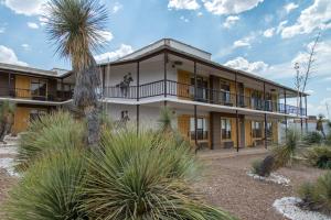 a building with palm trees in front of it at Landmark Lookout Lodge in Tombstone