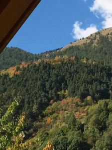 山景或在木屋看到的山景