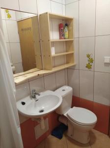 捷克布傑約維採的住宿－Apartments Iwona，一间带卫生间和水槽的浴室