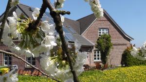 una casa con un árbol floreciente delante de ella en Zirkuswagen nahe Ostsee und Schlei, en Wagersrott