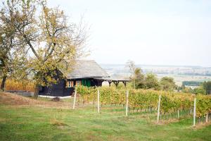 Táj az apartman közelében