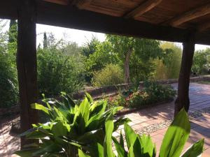 A garden outside Finca Horno de Cal