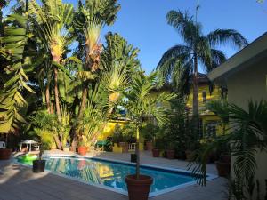 a swimming pool with palm trees and a building at Orchid Cottage in Kingston