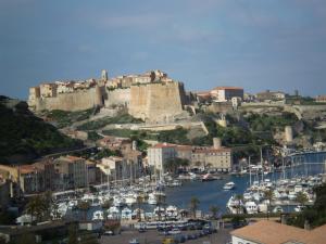 une ville avec un château et un port avec des bateaux dans l'établissement Augustin Marie, à Bonifacio