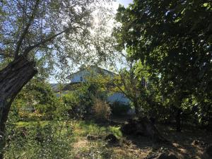 A garden outside Finca Horno de Cal