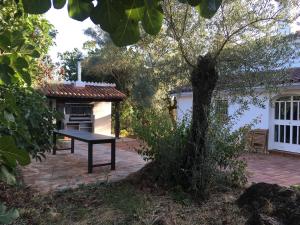 una mesa de picnic frente a una casa con un árbol en Finca Horno de Cal, en Aracena