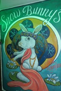 SnowBunnys BackPackers Hostel semasa musim sejuk