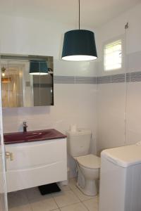 a bathroom with a toilet and a sink and a mirror at Le COLIBRI in Les Anses-dʼArlets