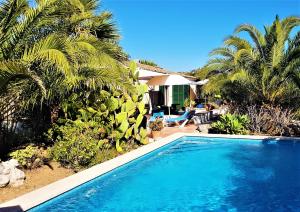 Swimmingpoolen hos eller tæt på Finca Bona Sort