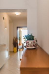 Fotografie z fotogalerie ubytování Apartment Sea & Island view v destinaci Crikvenica