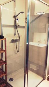 een badkamer met een douche en een wastafel bij Castel aan zee in Koksijde