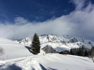 Pension-Greimelbacherhof talvel