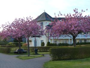 une maison blanche avec des fleurs roses devant elle dans l'établissement Dünenpark in Binz für Eltern und Kind, à Binz