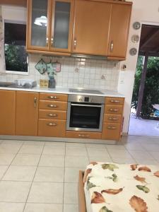 Kuchyňa alebo kuchynka v ubytovaní VILLA EIRINI