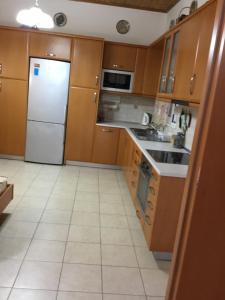 Kuchyňa alebo kuchynka v ubytovaní VILLA EIRINI