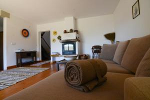 a living room with a couch and a fireplace at Casa da Menina in Anceriz