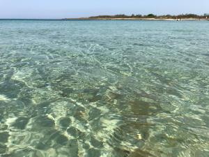 Φυσικό τοπίο κοντά σε αυτό το διαμέρισμα