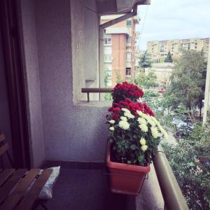einen Blumentopf mit roten und weißen Blumen auf dem Balkon in der Unterkunft 3 Bedroom Home with Parking Garage in The Heart of Skopje in Skopje