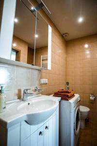 a bathroom with a sink and a washing machine at New apartament very close to the city centre in Vilnius