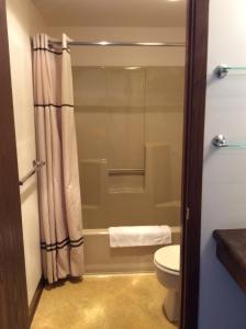 a bathroom with a shower and a toilet at Scenic Shore Inn in Algoma
