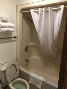 a small bathroom with a toilet and a bath tub at Kewanee Motor Lodge in Kewanee