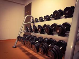 Palestra o centro fitness di Hotel Adam