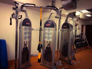 Palestra o centro fitness di Hotel Adam