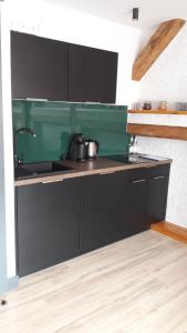 Kuchyňa alebo kuchynka v ubytovaní Apartamenty "BULWAR GORZOW"