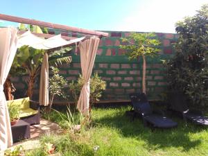 Vonkajšia záhrada v ubytovaní Villa Canaria piscina jacuzzi jardín