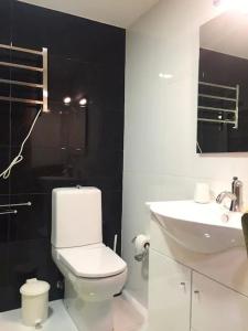 ein Badezimmer mit einem weißen WC und einem Waschbecken in der Unterkunft Maestro Appartment in Porto