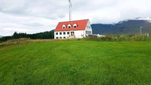 a large white house with a red roof in a field at Holt Inn in Flateyri