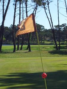 eine Flagge auf einem Golfplatz mit Bäumen im Hintergrund in der Unterkunft Village Club Dunea in Soustons