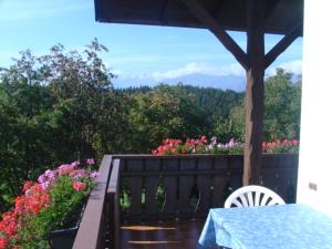 A balcony or terrace at Haus Hafner