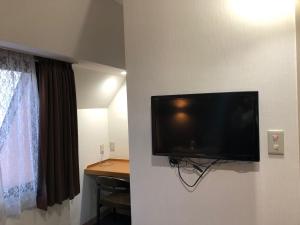 TV tai viihdekeskus majoituspaikassa Kawasaki River Hotel