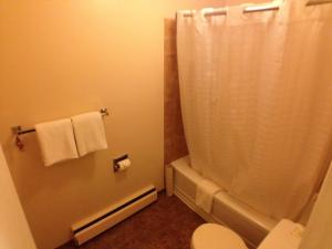 a bathroom with a shower curtain and a toilet at Galaxy Motel in St. Paul