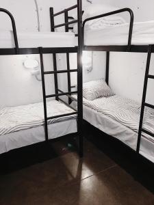 キーウにあるHostel ALCATRAZの二段ベッド2組が備わる客室です。