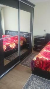 1 dormitorio con 2 camas y espejo en Vila Nature - Rosia Montana en Abrud