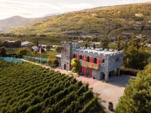 uma vista aérea de uma casa numa vinha em Castel de Daval em Sierre