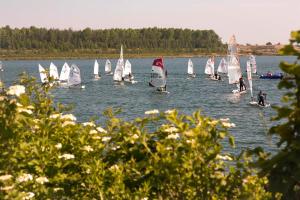 a group of small sailboats on a lake at Z1-Das Haus in Zwenkau