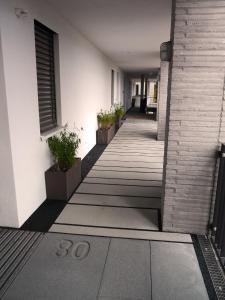 um corredor com vasos de plantas ao lado de um edifício em Z1-Das Haus em Zwenkau