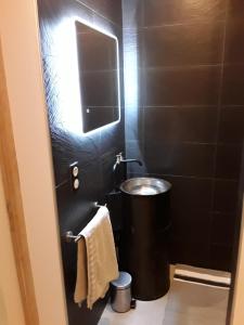 A bathroom at Joli 2 pièces esprit loft moderne