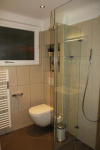 シャルボイツにあるFerienwohnung Urlaubsflair Scharbeutzのバスルーム(トイレ、ガラス張りのシャワー付)